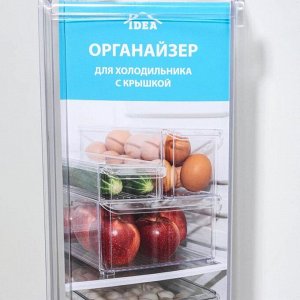 Контейнер для холодильника с крышкой IDEA, 20?30?10 см, пластик, прозрачный