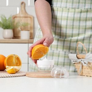Доляна Соковыжималка для цитрусовых с лотком и крышкой, d=7,5 см
