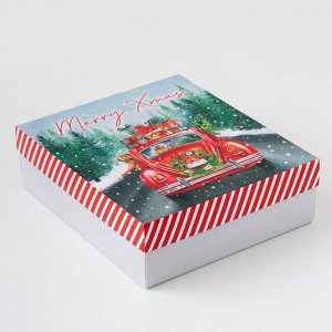 Подарочный набор «Новый год: Merry Xmas»‎ варежки р-р 19 и аксессуары