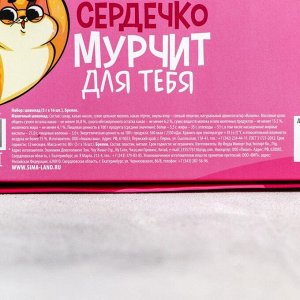 Фабрика счастья Подарочный набор «Кот»: шоколад 5 г. х 16 шт., брелок