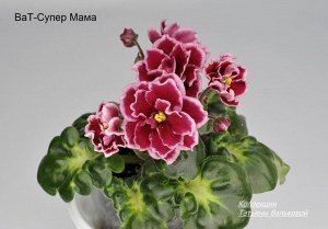ВаТ - Супер Мама