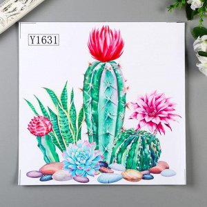 Наклейка пластик интерьерная "Цветущие кактусы" 30х30 см