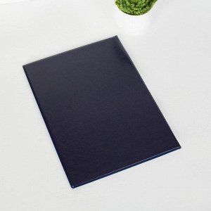 Папка для документов, 2 комплекта, цвет синий