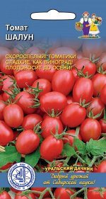 Томат Шалун (УД) СЕЛЕКЦИЯ СИБНИИРС!Новинка!!!