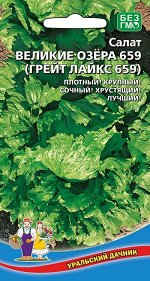 Салат Великие Озера 659 (Грейт Лайкс 659) (УД) Новинка!!!