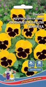 Цветы Виола Любимеца короля Генриха (УД) Крупноцветковая, солнечно-желтая с угольно-чёрным пятном
