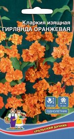 Цветы Кларкия Гирлянда Оранжевая (УД) (махровые,миниатюрные розочки,в.60см.д.4см)