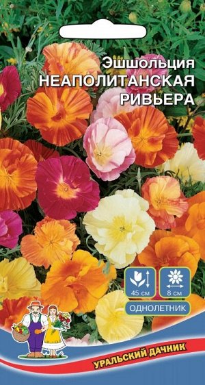 Цветы Эшшольция Неопалитанская Ривьера (УД) (смесь окрасок, стелющиеся кустики)