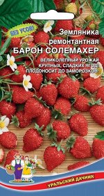 Земляника Барон Солемахер (УД) (Стабильно урожайная, всесезонная, безусая, сладкая, плодоносит в комнатных условиях)