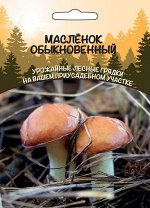 Грибы Масленок Обыкновенный (ССПК) (Очень вкусный, используется в свежем, жаренном, соленом, маринованном виде)