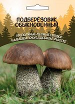 Грибы Подберезовик Обыкновенный (ССПК) (Используется в супах и вторых блюдах, сушеным, соленом, маринованном виде)
