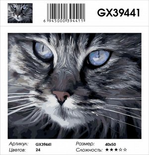 Картина по номерам на подрамнике GX39441