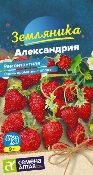 Ягода Земляника Александрия ремонтантная/Сем Алт/цп 0,03 гр.