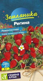 Ягода Земляника Регина ремонтантная/Сем Алт/цп 0,04 гр.