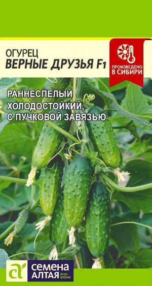 Огурец Верные друзья F1/Сем Алт/цп 5 шт.