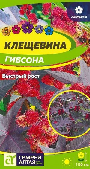 Клещевина Гибсона/Сем Алт/цп 3 шт.