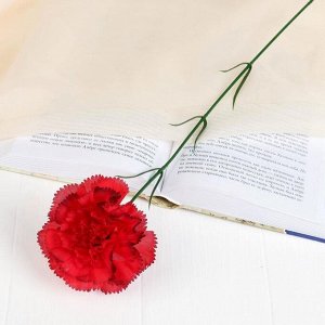 Цветы искусственные "Гвоздика красная с кантом" 40 см d-8 см