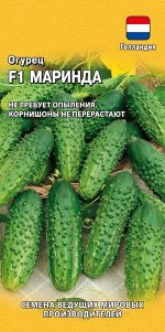 Огурец Маринда F1 10 шт. корнишон