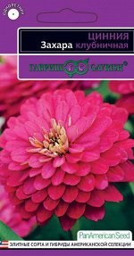 Цинния Захара клубничная 6 шт. серия Эксклюзив