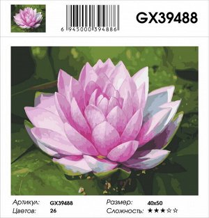 Картина по номерам на подрамнике GX39488