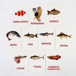 Обучающие карточки по методике Г. Домана «Рыбы», 10 карт, А6