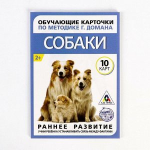 Обучающие карточки по методике Г. Домана «Собаки», 10 карт, А6