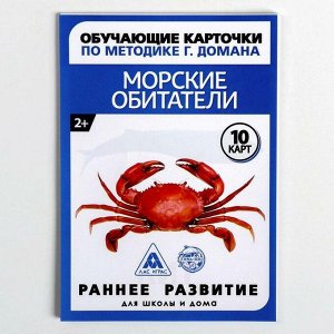 Обучающие карточки по методике Г. Домана «Морские обитатели», 10 карт, А6