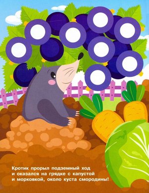 НАКЛЕЙКИ-КРУЖОЧКИ. Вып.16