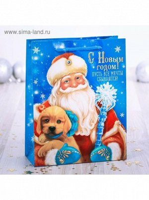 Пакет ламинат вертикальный Поздравление Деда Мороза 11 х 14 х 5 см