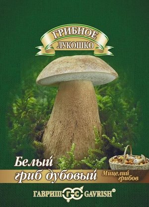 Мицелий Белый гриб Дубовой на зерновом субстрате 15мл Гавриш