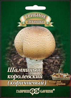 Мицелий Шампиньон Коричневый на зерновом субстрате 15мл Гавриш