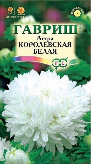 Астра Королевская Белая пионов, махр, до 100см, однол 0,3гр Гавриш/ЦВ