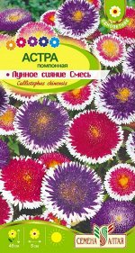 Астра Лунное Сияние помпонная смесь до 45см, однол 0,2гр СА/ЦВ