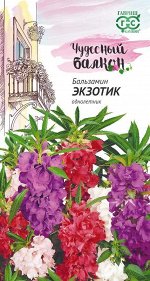 Бальзамин Уоллера Экзотик карлик смесь, 20см 0,1гр Гавриш/ЦВ