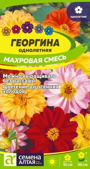 Георгина Махровая Смесь Окрасок 50см, однол 0,2гр СА/ЦВ