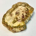Окаменелое дерево (Мадагаскар) в ассортименте 6*4 см