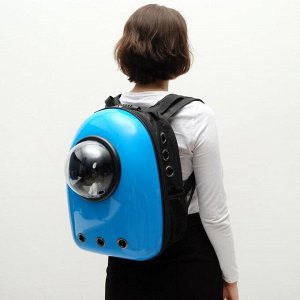 Рюкзак для переноски животных с окном для обзора, 32 х 22 х 43 см, голубой