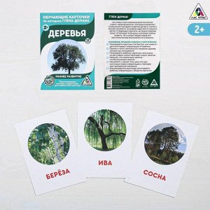 ЛАС ИГРАС Обучающие карточки по методике Г. Домана «Деревья», 12 карт, А6