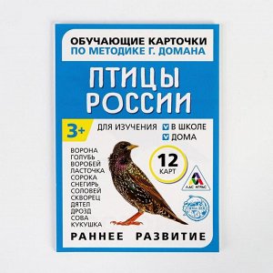 Обучающие карточки по методике Г. Домана «Птицы России», 12 карт, А6