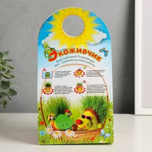 Набор для выращивания «ЭкоЖивчик. Лягушонок», фигурка растущая в подарочной упаковке, МИКС
