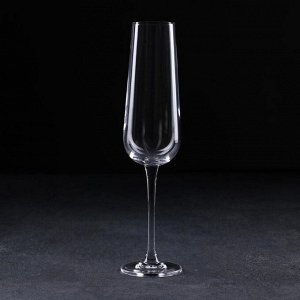 Набор бокалов для шампанского Corvus,160 мл, 6 шт