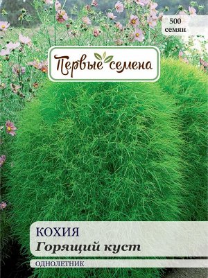 Кохия Горящий куст