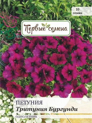 Петуния Тритуния Бургунди