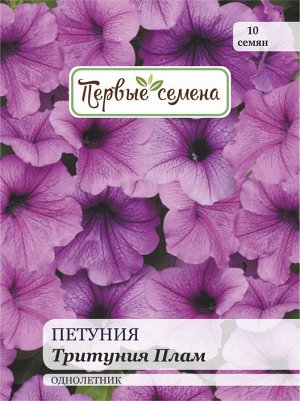 Петуния Тритуния Плам