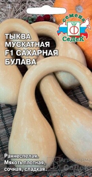 Тыква Сахарная Булава F1 ЦВ/П (СЕДЕК) раннеспелый плетистый