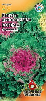 Цветы Капуста декоративная Богема ЦВ/П (ГАВРИШ) 0,1гр однолетник 25-40см