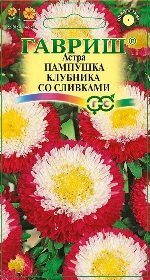 Цветы Астра Пампушка Клубника со сливками ЦВ/П (ГАВРИШ) 0,3гр помпонная однолетник 50см