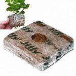 Кокосовый брикет Jiffy 70мм (1уп/240шт)