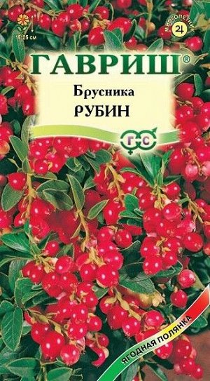 Брусника Рубин ЦВ/П (ГАВРИШ) 20шт позднеспелый