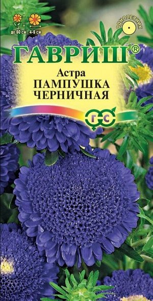 Цветы Астра Пампушка Черничная ЦВ/П (ГАВРИШ) 0,3гр помпонная однолетник 50см